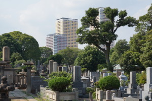 墓地の木々も手入れされ、背景の日暮里のビル群がきれいに見える