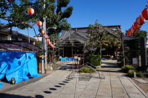 菊まつりを待つ朝の大圓寺