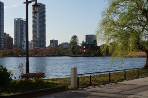 東京建物と三井不動産の高級高層マンション。昔懐かしい？ゲームのシムシティみたい。池の公園近くはゲームでも大きなマンションが勝手に建っていた。