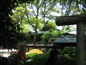登ったら後ろを振り返って根津神社本殿をパチリ。